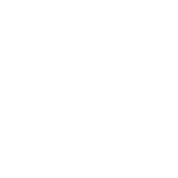 Leapmotor